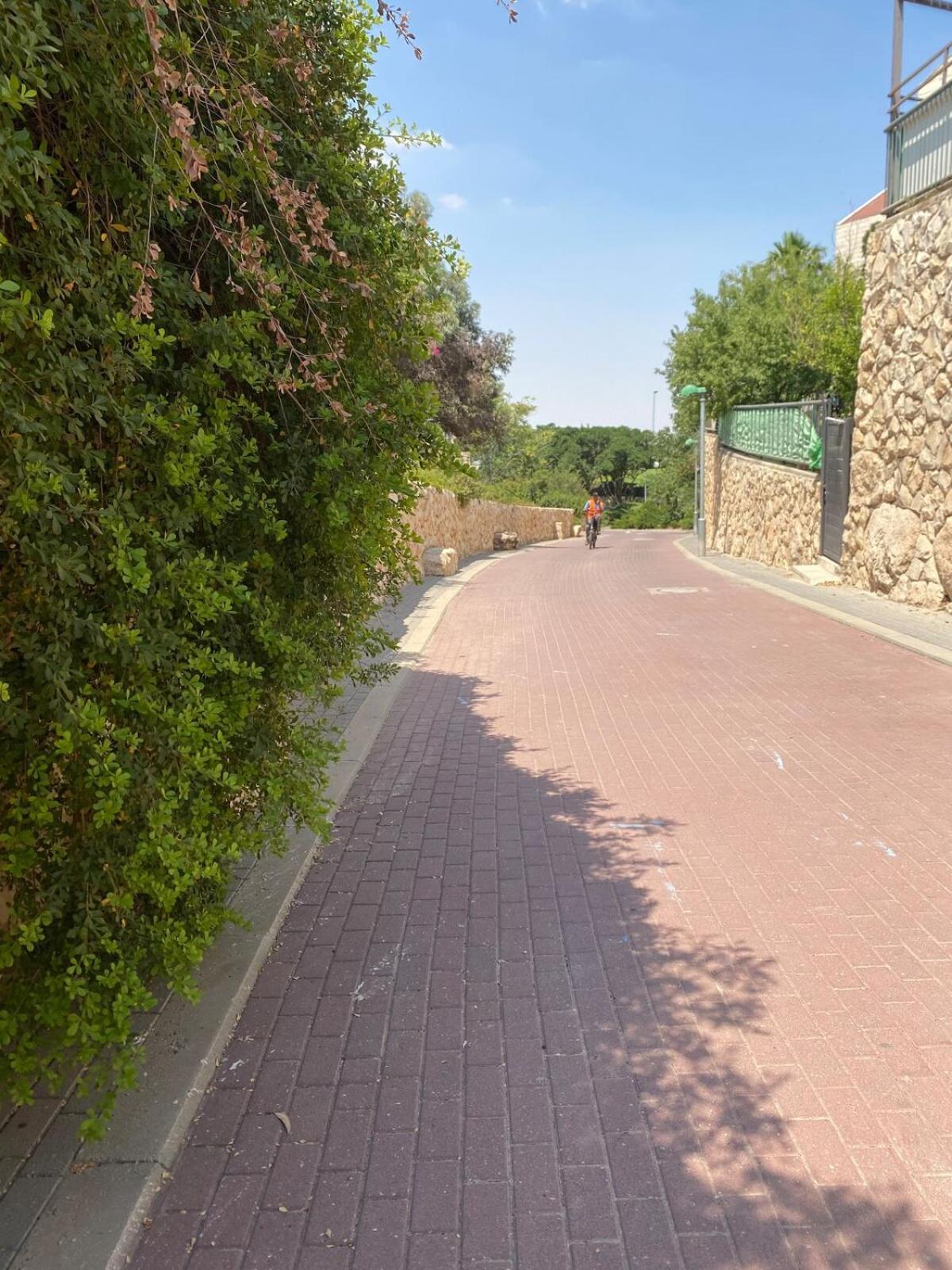 דירת גן מרווחת במיקום מעולה עם נטפליקס חינמי Leilighet Ma'ale Adumim Eksteriør bilde