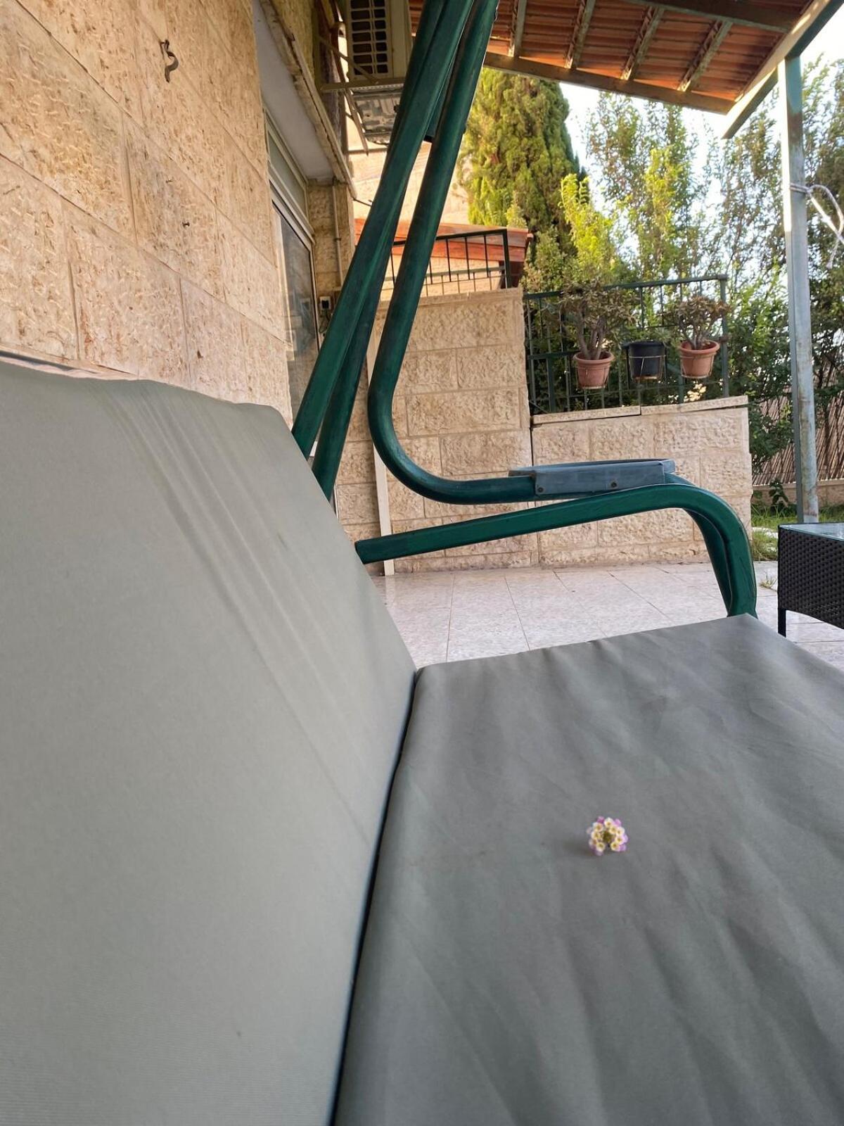 דירת גן מרווחת במיקום מעולה עם נטפליקס חינמי Leilighet Ma'ale Adumim Eksteriør bilde